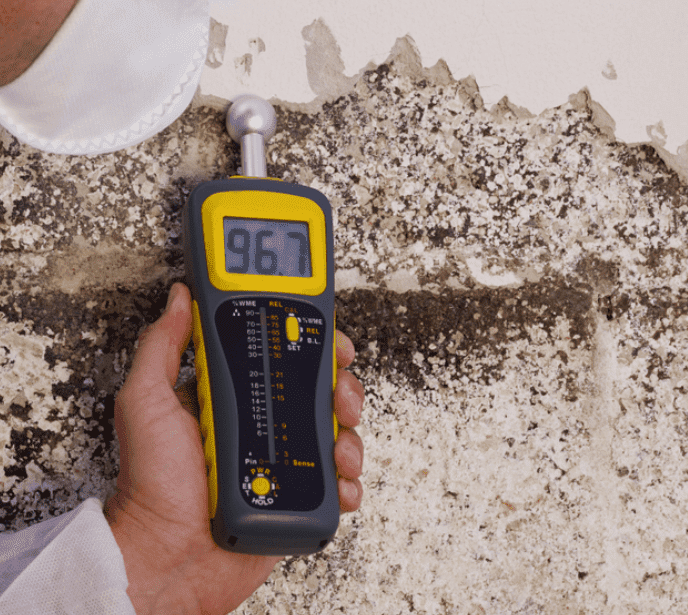 mold inspection Port St Lucie