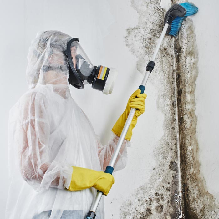 mold removal Deerfield Beach